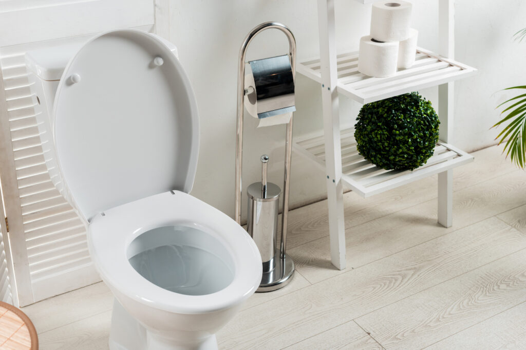 bathroom with toilet, toilet paper, and toilet brush, representing access to improved sanitation